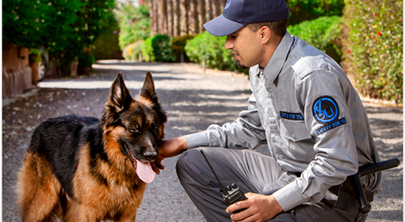 chien de sécurité